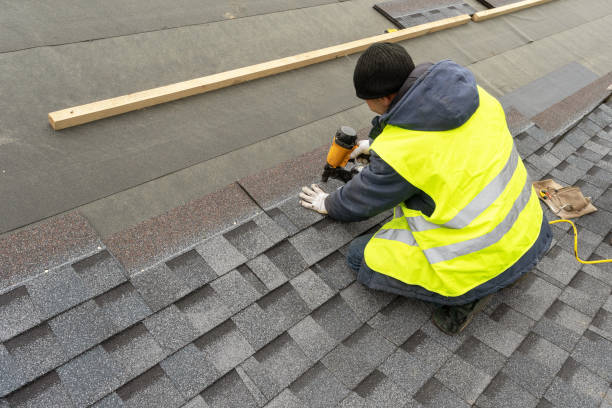 Best Roof Gutter Cleaning  in North Les, AK