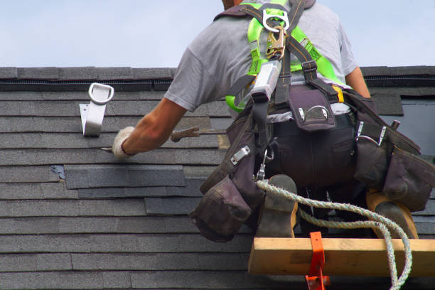 Best Local Roofing Companies  in North Les, AK