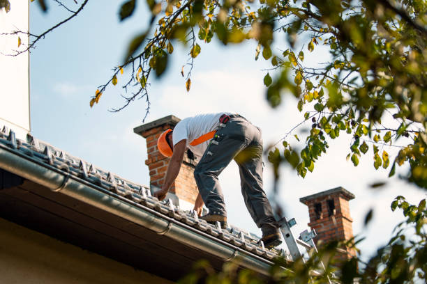 Slate Roofing Contractor in North Lakes, AK
