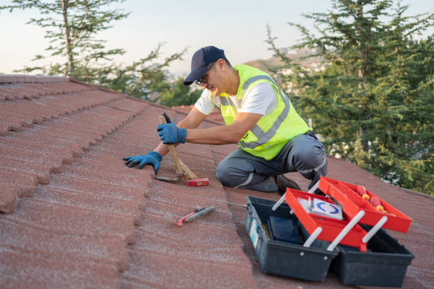 Best Flat Roof Repair Services  in North Les, AK